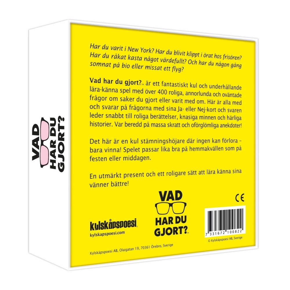 Baksida av Vad har du gjort? med spelbeskrivning och exempel på frågor.